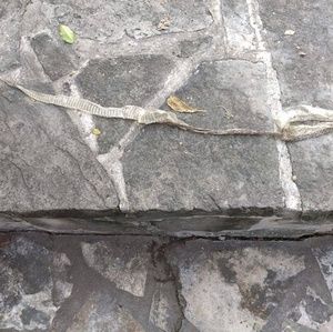 Meet your Posher, Ruben